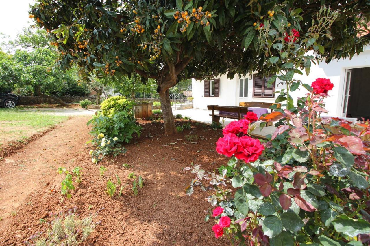 شقة Casa Lidija روفينج المظهر الخارجي الصورة
